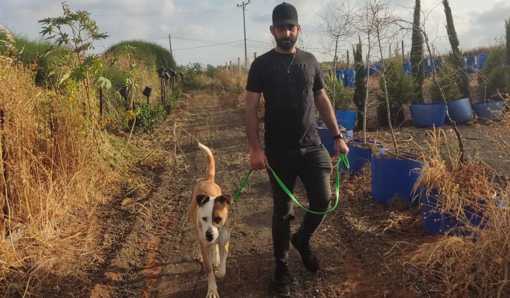 למה קשה לכלב להיות רגוע בטיול